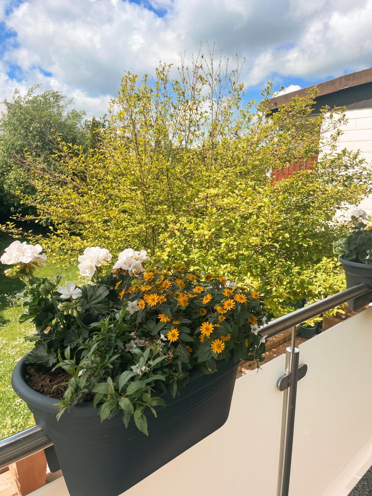 Appartment Paula Wolfhagen Dış mekan fotoğraf